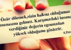 Özür Mesajları