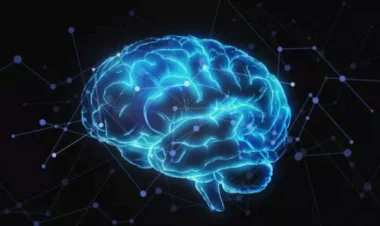 Öncelik Etkisi ve Kelimelerin Sihri