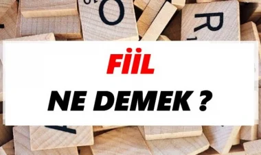 Fiiller (Eylemler)