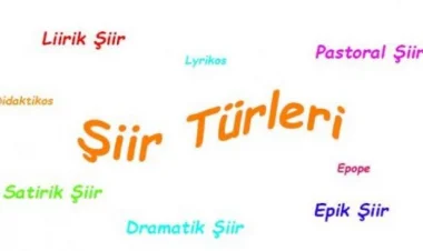 Türk Dili ve Edebiyatı - Şiir ve Türleri