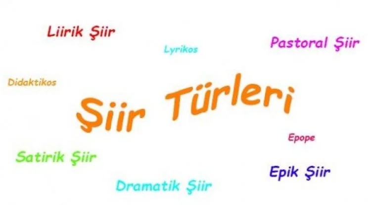 Türk Dili ve Edebiyatı - Şiir ve Türleri
