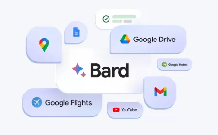 Google, Bard'ın eğitilmesine yardımcı olan yapay zeka veri firmasıyla olan sözleşmesini iptal etti