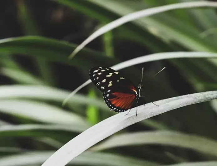 Protect the Earth: A Guide to Sustainable Living