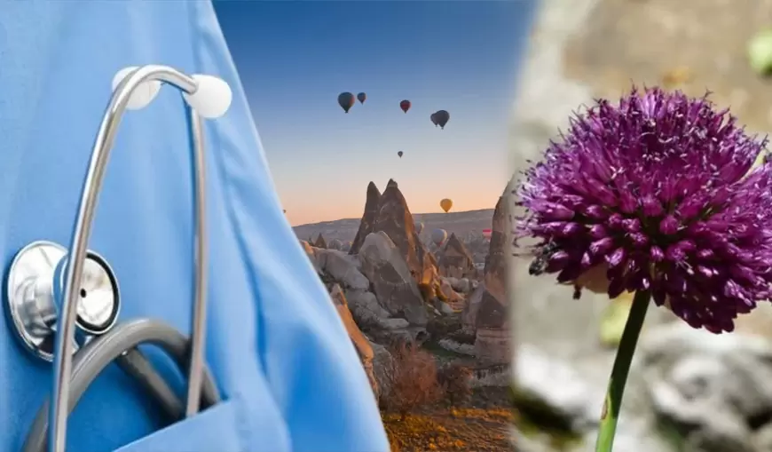 Kapadokya Soğanı Nedir? Özellikleri, Faydaları ve Zararları Nelerdir?