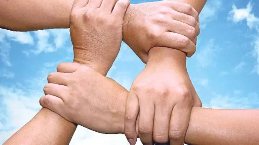 Takım İçinde İşbirliği ve Destekleme: Başarıyı Güçlendiren Temel Unsurlar
