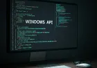 Windows API Kullanımı: Temel Bilgiler ve Uygulamalar